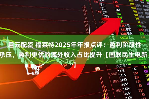 启云配资 福莱特2025年年报点评：盈利阶段性承压，盈利更优的海外收入占比提升【国联民生电新】