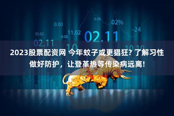 2023股票配资网 今年蚊子或更猖狂? 了解习性做好防护，让登革热等传染病远离!