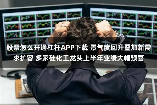 股票怎么开通杠杆APP下载 景气度回升叠加新需求扩容 多家硅化工龙头上半年业绩大幅预喜